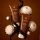 Locman Gaia Argan Mask
